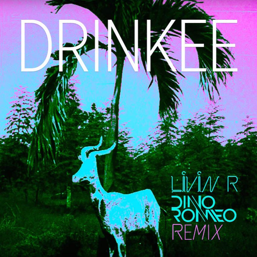 Sofi Tukker - Drinkee (Livin R & Dino Romeo Remix)
